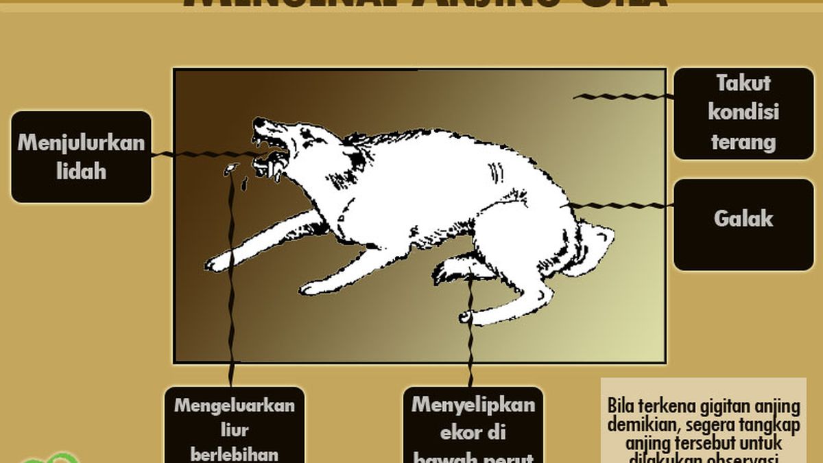 Patroli Awas Ada Anjing Gila Mengamuk Di Pasbar Warga Koto Balingka