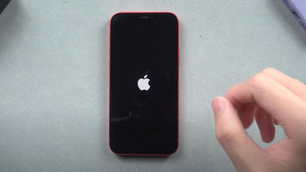 Gunakan Cara Ini Untuk Memperbaiki Iphone Mentok Di Logo Ternyata