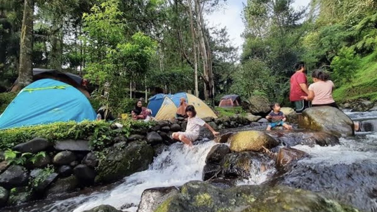 Menikmati Suasana Camping Di Pinggir Sungai Yang Mengesankan Di Wisata