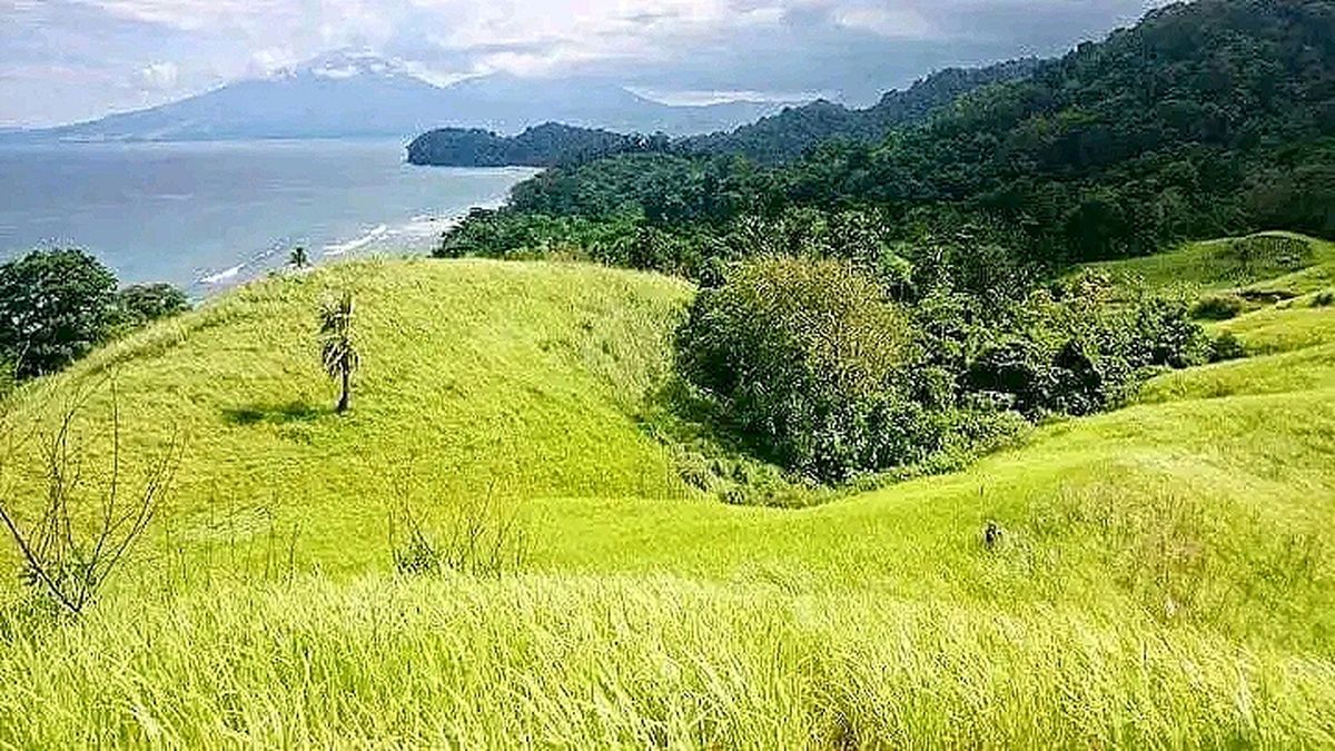 Jangan Lewatkan Wisata Likupang Menawarkan Pesona Pantai Pulisan Dan