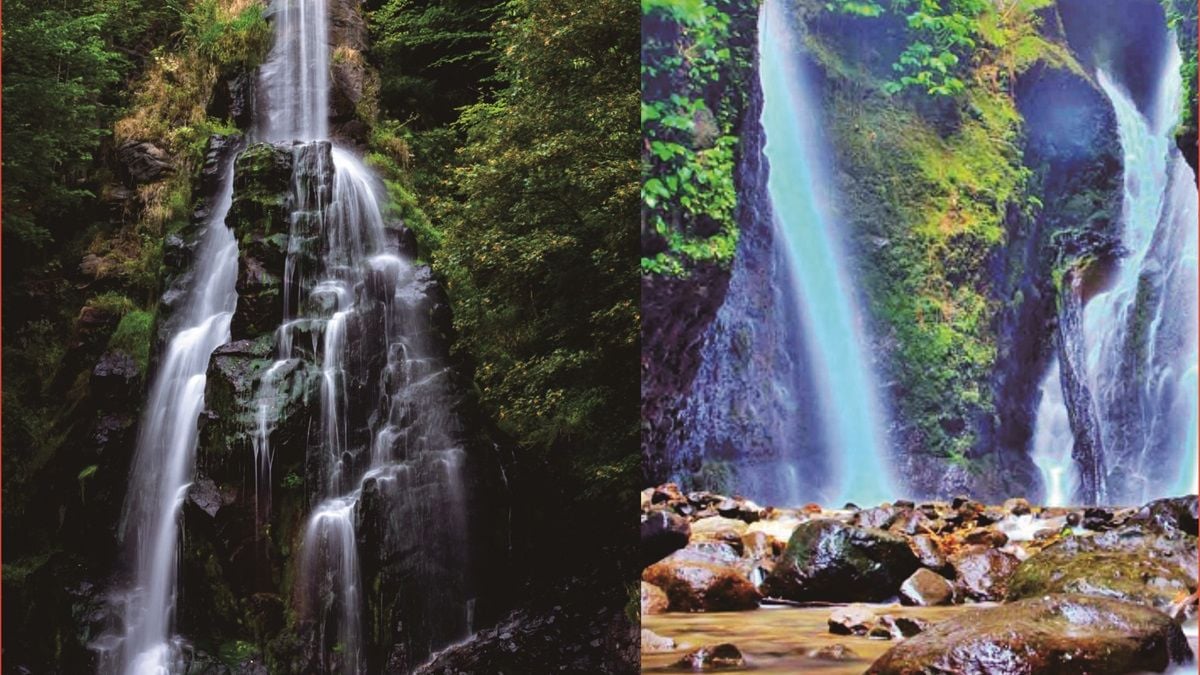 Destinasi Wisata Alam Ponorogo Yang Rugi Dilewatkan Jika Berkunjung Ke