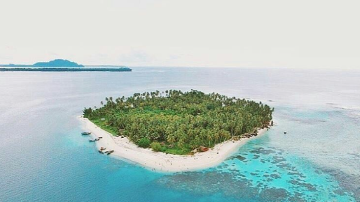 Snorkeling Seru Di Bawah Laut Pulau Tailana Destinasi Keindahan Bawah