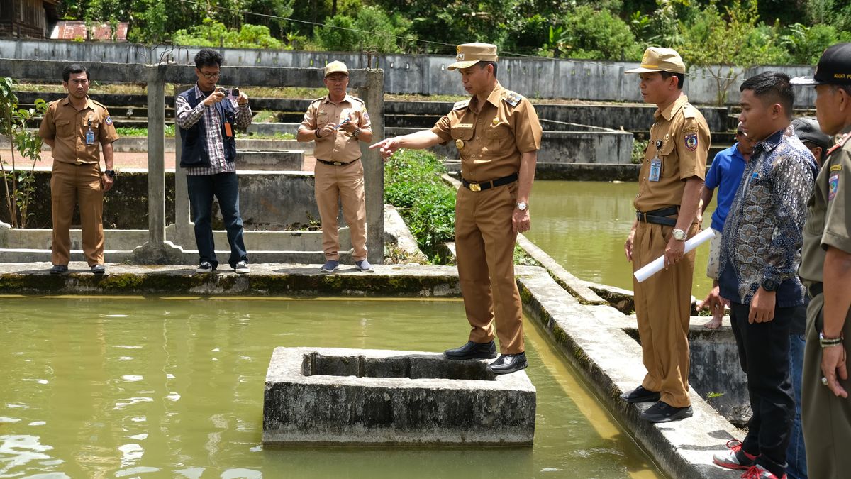 Kunjungi Balai Benih Ikan Di Tamalantik Pj Bupati Mamasa