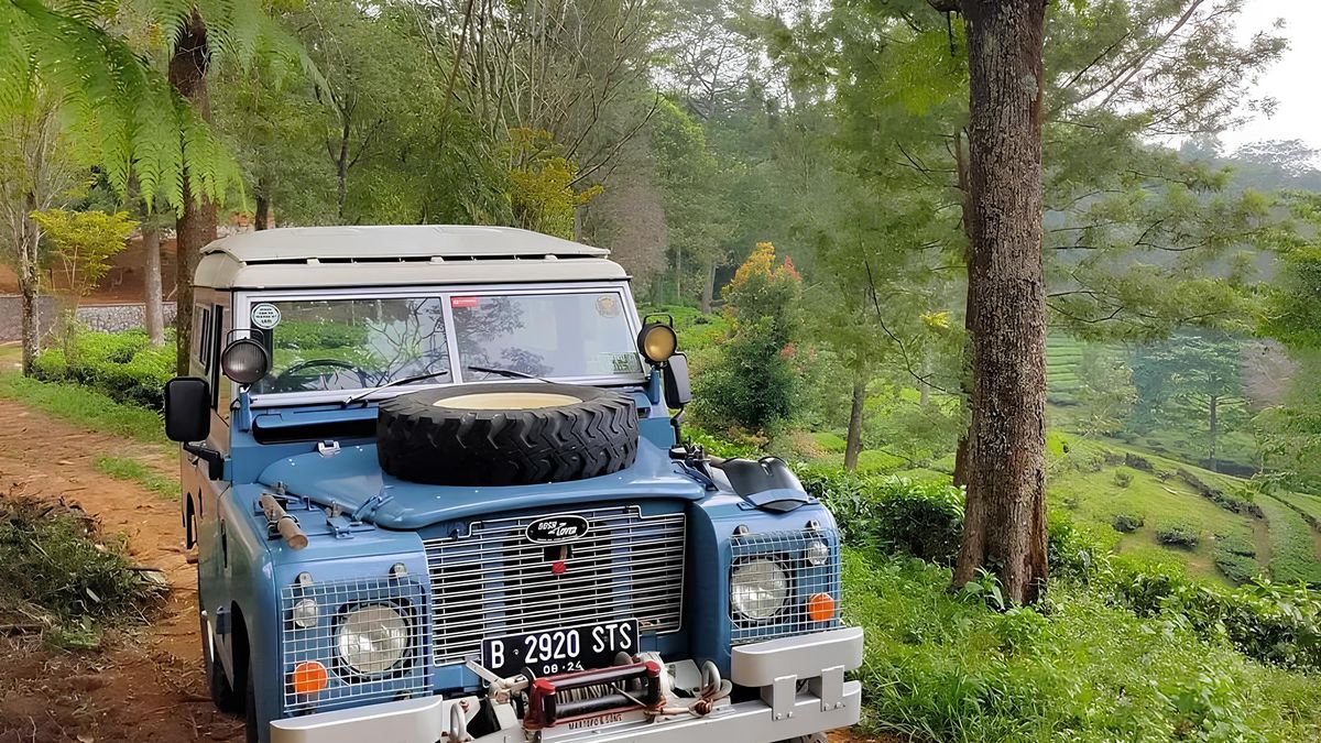 Agrowisata Gunung Mas Puncak Bogor Terdapat Wahana Off Road Yang