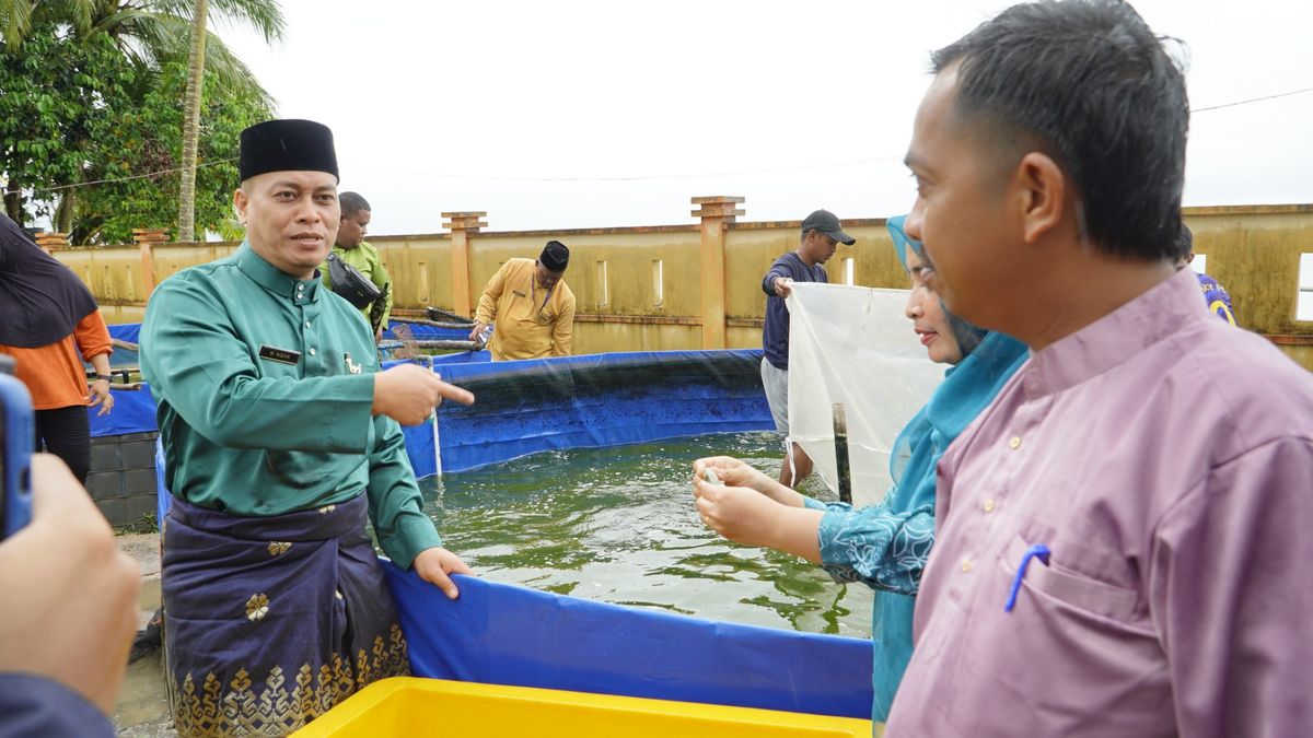 Upt Bbi Pelopor Budidaya Udang Vaname Sistem Bioflok Di Kabupaten