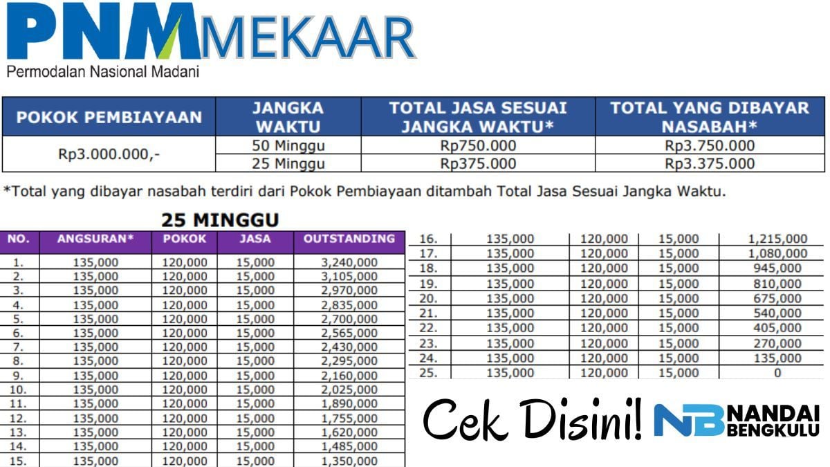 Simulasi Cicilan Pinjaman Modal Usaha PNM Mekaar Tenor 25 Minggu