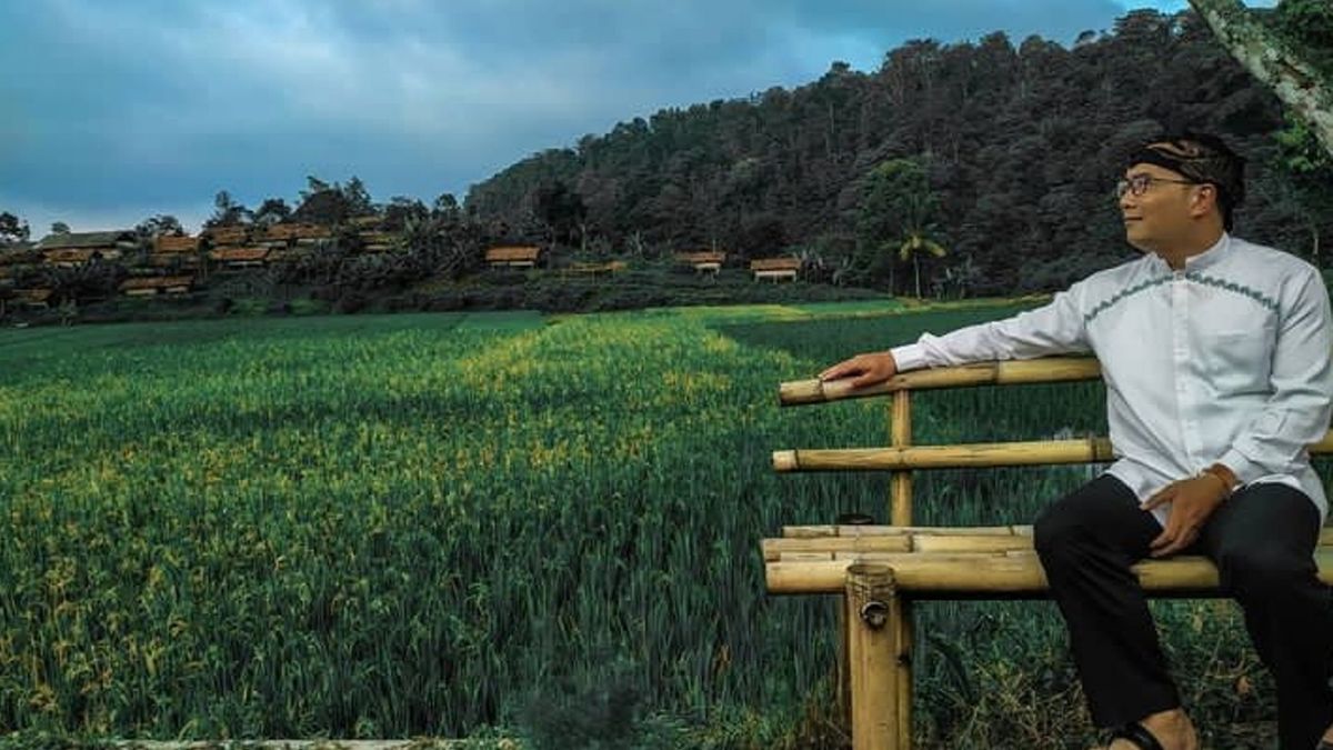 Mengintip Pesona Desa Cibuntu Desa Wisata Terbaik Tingkat Asean Di