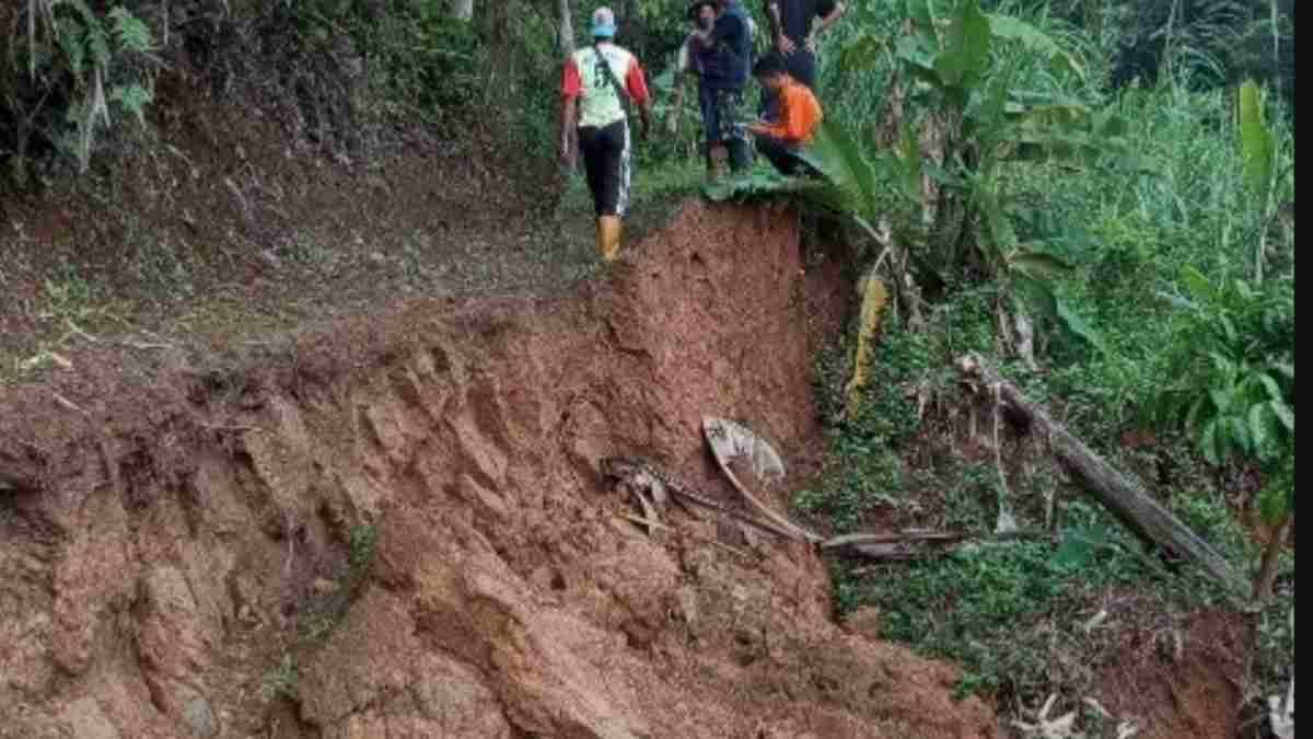 Puluhan Hektar Sawah Milik Warga Terancam Stelah Tebing Di Panawangan