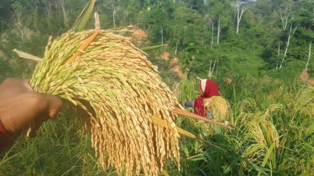 Peringati Hari Krida Pertanian Ke Kementan Ajak Apresiasi Usaha