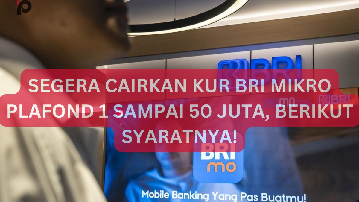 Segera Cairkan Kur Bri Mikro Plafond Sampai Juta Berikut