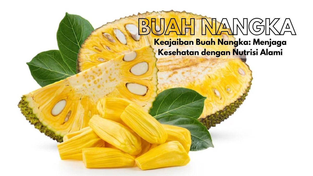 Rahasia Sehat Di Balik Buah Nangka Manfaat Yang Jarang Diketahui