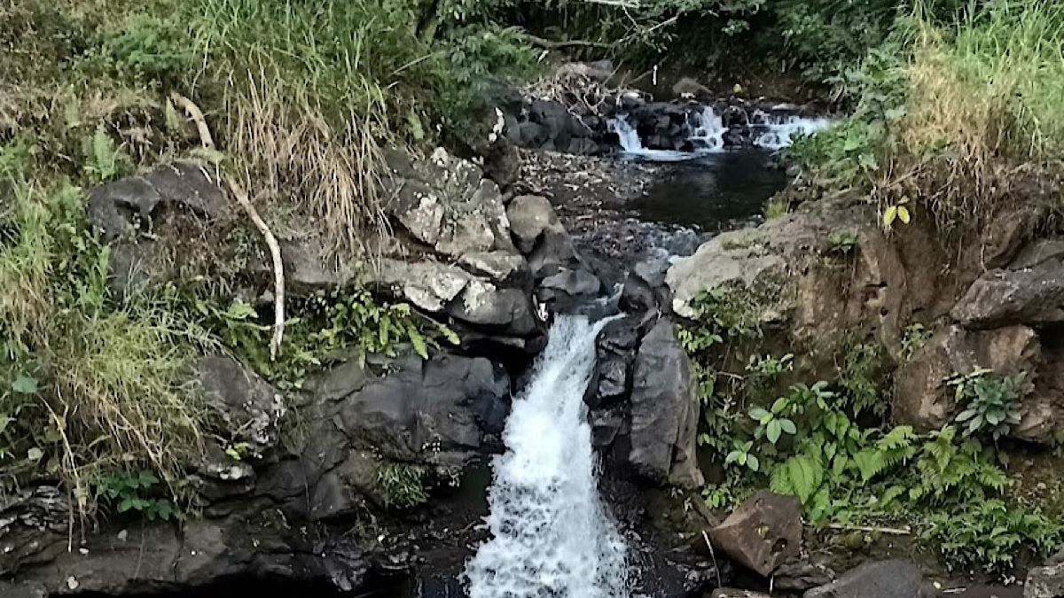 CATAT Ini Rute Menuju Air Terjun Batu Kembar Di Desa Sesaot Lombok