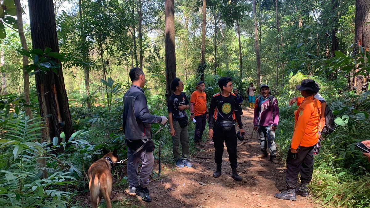 Kakek Di Bantarkawung Brebes Hilang Di Hutan Dukuh Secang Medan Terjal