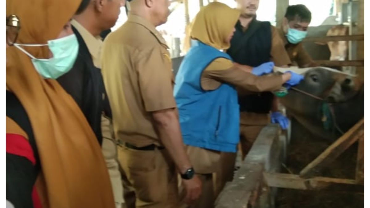 Pj Bupati Garut Barnas Adjidin Intruksikan Diskannak Pantau Hewan