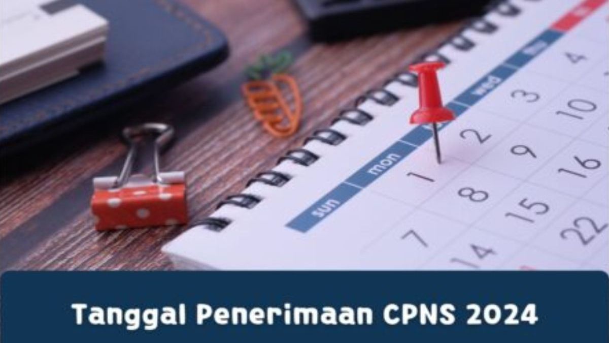 Kabar Gembira Penerimaan CPNS 2024 Dibuka Ini Dia Jadwal Dan Tips