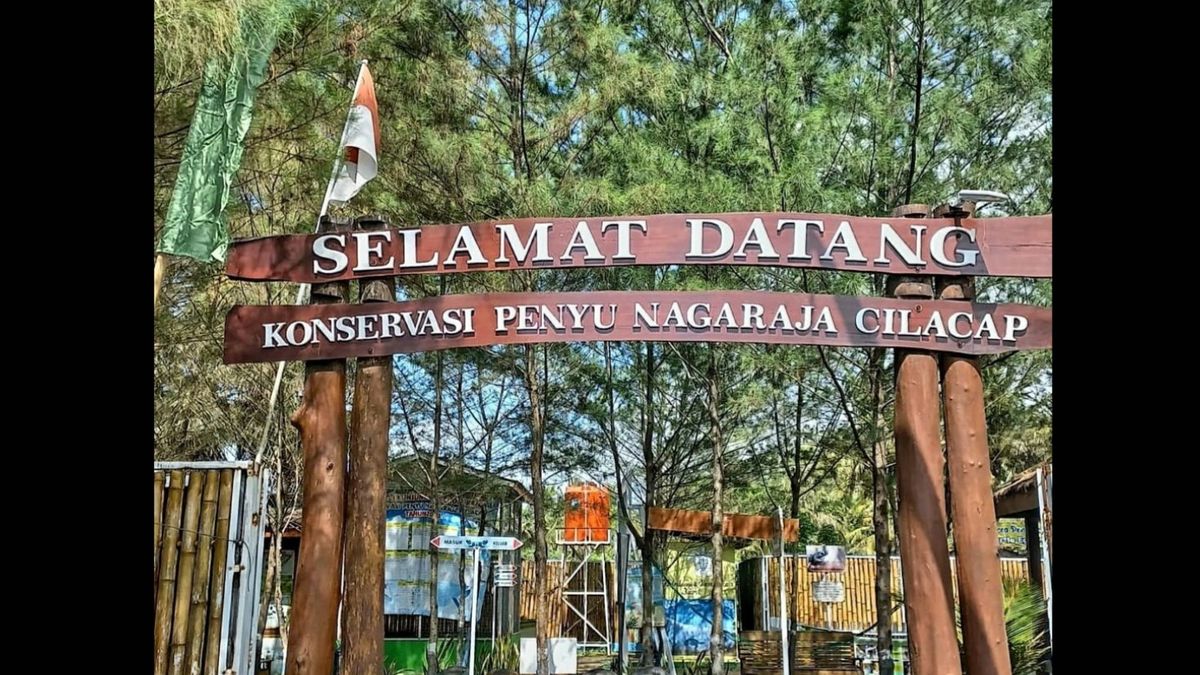 Libur Sekolah 4 Tempat INI Jadi Wisata Edukasi Cilacap Ada Hutan