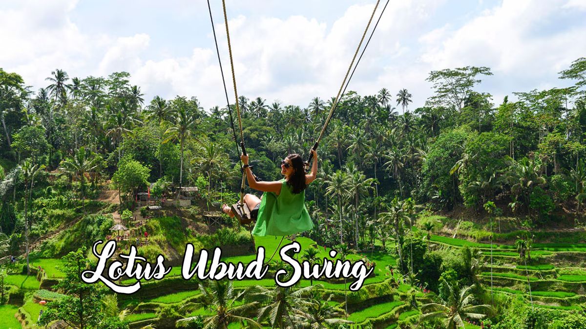 Lotus Ubud Swing Destinasi Wisata Instagramable Di Ubud Untuk Foto