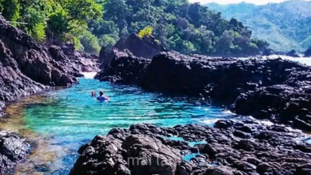 Pulau Dewata Lampung Teluk Kiluan Surga Tersembunyi Dengan Lumba