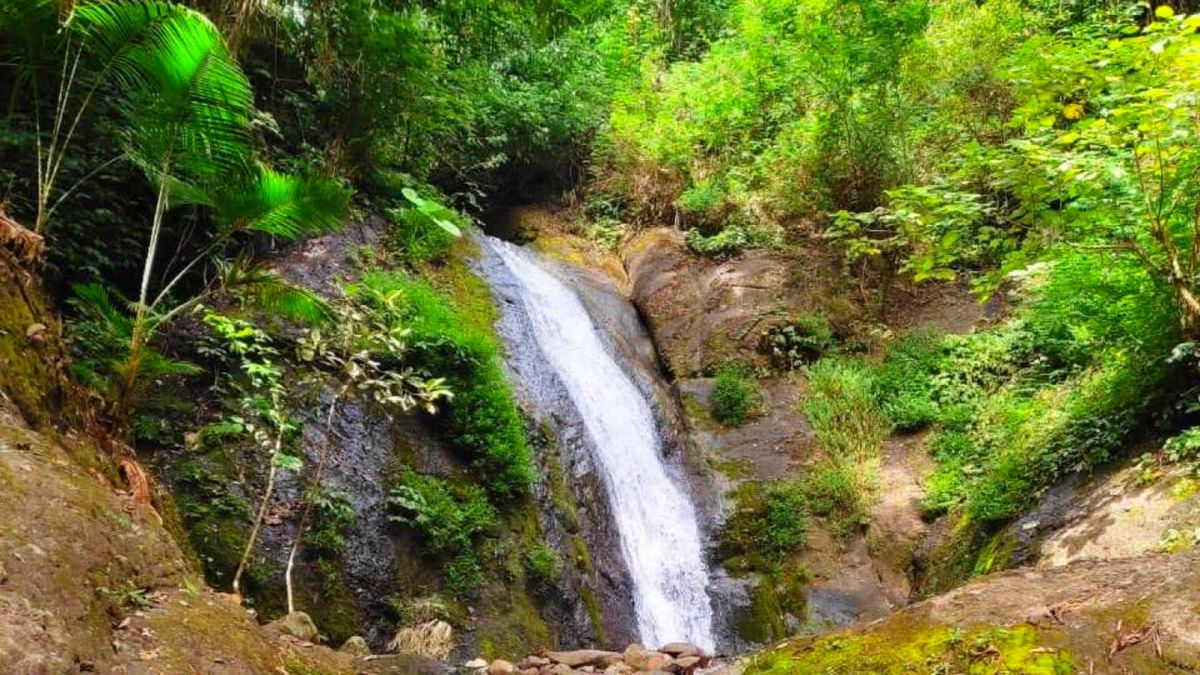 Wisata Air Terjun Kertoembo Hidden Gem Yang Wajib Dikunjungi Di