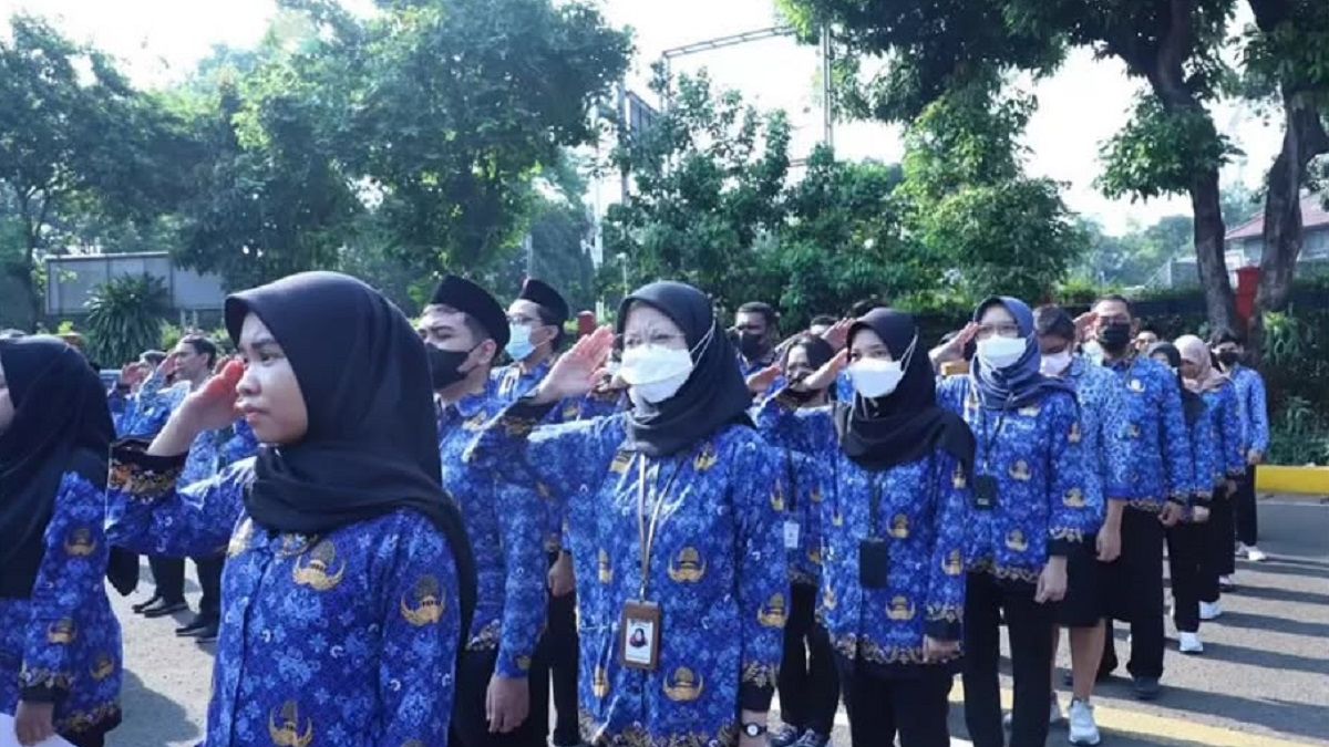 Nasib Tenaga Honorer Yang Tak Lulus Seleksi Pppk Masih Ada