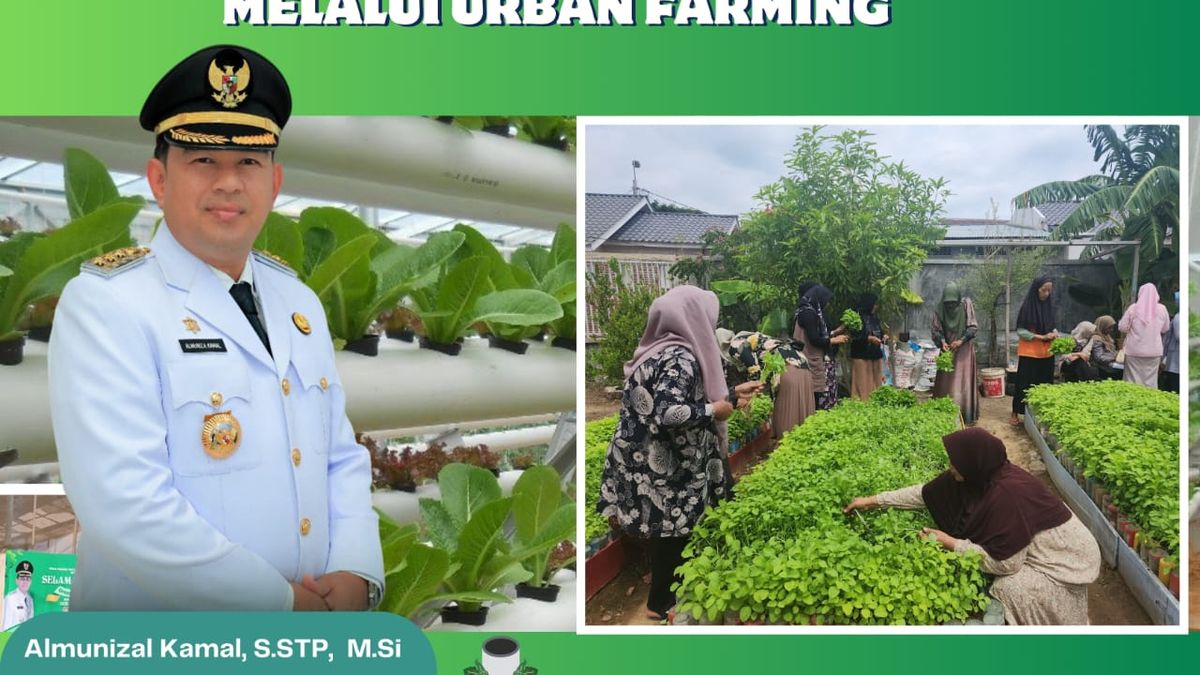 Urban Farming Jadi Solusi Pangan Di Banda Aceh 2024 Kilas Aceh