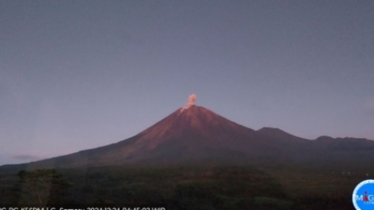 Gunung Semeru Erupsi Kali Di Awal Tahun Warga Diminta Waspada