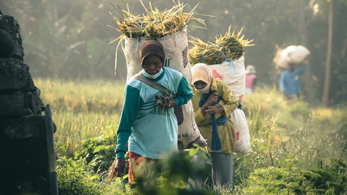 Dana Desa Kebumen 2025 Ini Rincian Lengkap Alokasi Untuk 24 Desa Di