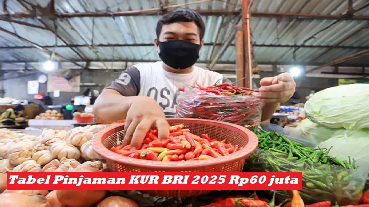 Baru Mau Mulai Usaha Dan Butuh Modal Pinjaman KUR BRI 2025 Super Mikro