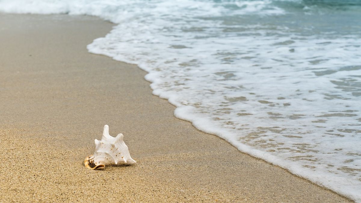 Garut Punya 3 Wisata Pantai Yang Nggak Kalah Indah Dari Pangandaran