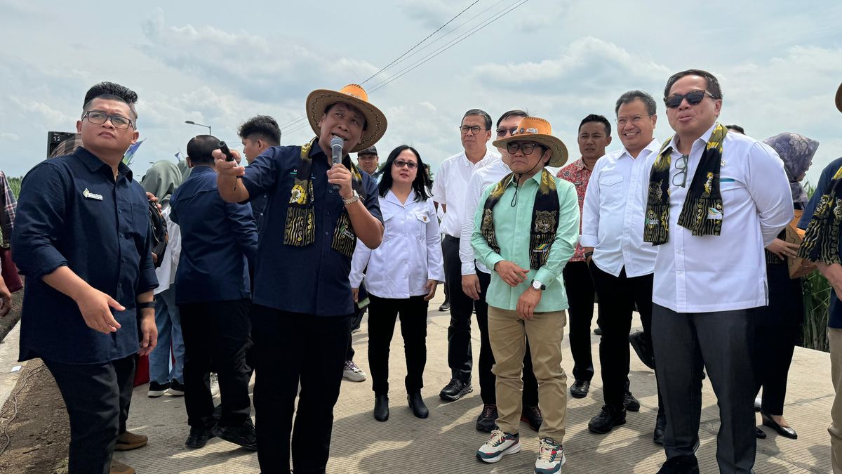 Optimis Capai Swasembada Pangan Pemerintah Dorong Petani Milenial