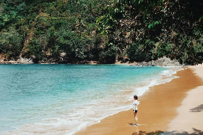 Pantai Terindah Di Jawa Timur Yang Cocok Jadi Destinasi Wisata Tahun