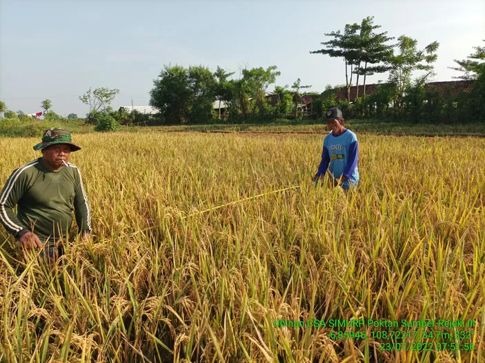 Apa Itu Kartu Tani Ini Cara Penggunaan Dan Cara Tebus Pupuk