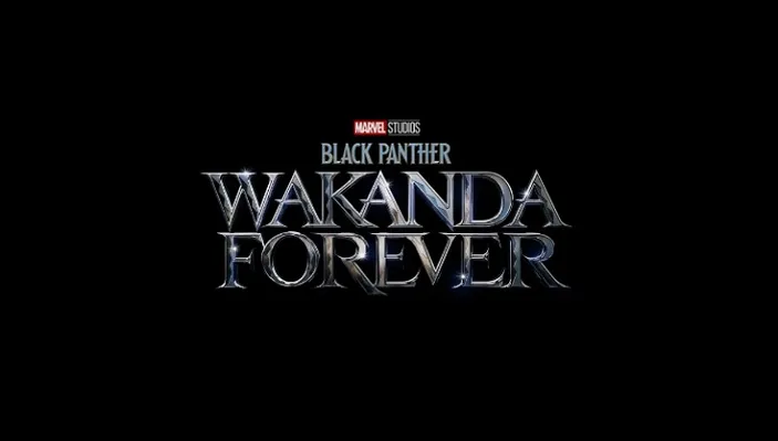 Arti Wakanda Dalam Bahasa Gaul Yang Viral Di Twitter Setelah Film Black