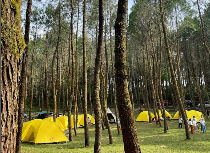 Review Tangkal Pinus Lembang Bandung Harga Tiket Masuk Sewa Dan