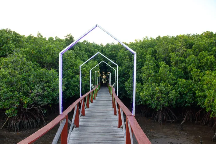 Wisata Mangrove Di Bulukumba Menjelajahi Pesona Hutan Bakau Luppung