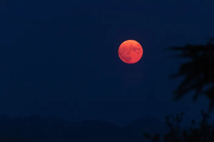 Kapan Super Blue Moon Simak Cara Menyaksikan Fenomena Alam Yang