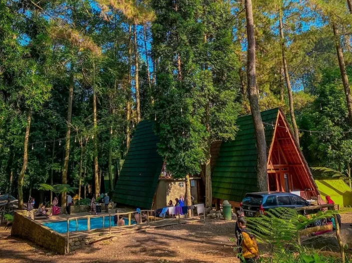 Mulai 500 Ribuan Glamping Hutan Pinus Ala Swiss Di Puncak Bogor