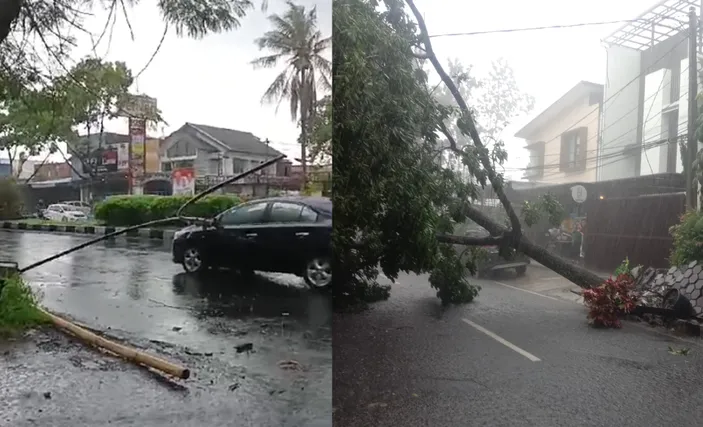 Ada Pohon Tumbang Dan Lampu PJU Yang Roboh Imbas Hujan Deras Di Bandung