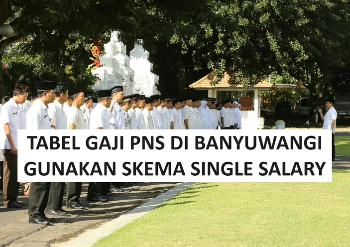 Tabel Gaji PNS Jabatan Administrasi Di Kabupaten Banyuwangi Bakal Naik