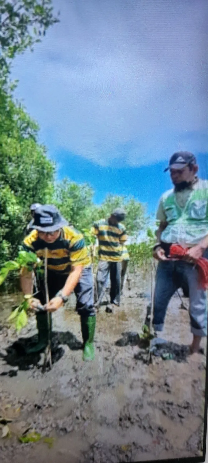 Jaga Wana Rahayu Cara Pertamina Ep Atasi Abrasi Di Pesisir Pantai