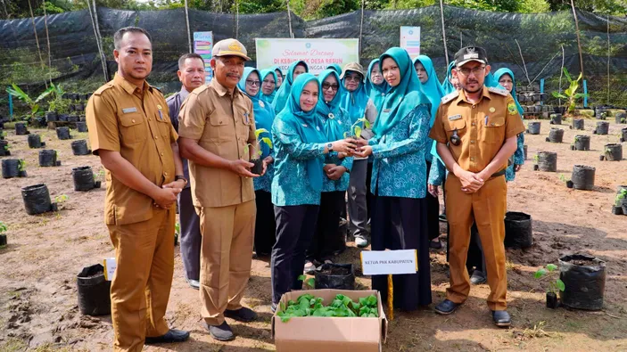 Bibit Terong Dibagikan Tp Pkk Lingga Dukung Ketahanan Pangan Di