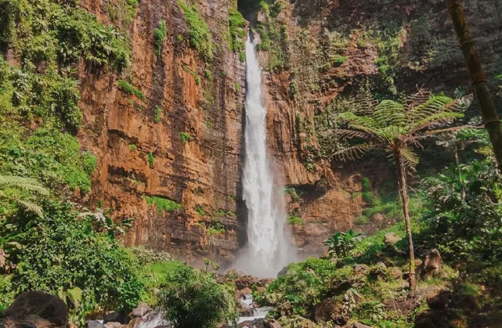 Air Terjun Kapas Biru Surga Tersembunyi Di Tengah Hutan Lumajang