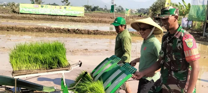 Bupati Bandung Turun Langsung Ke Sawah Lakukan Penanaman Padi Untuk