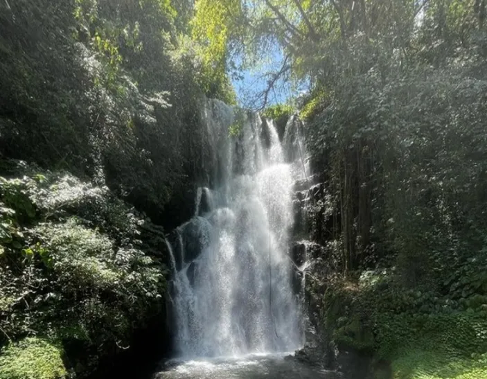 Air Terjun Cemara Tempat Wisata Hidden Gem Di Buleleng Yang