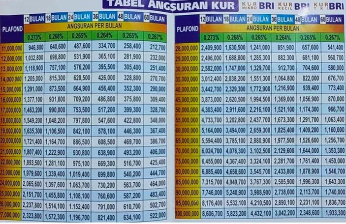 Brosur Pinjaman Kur Bri Masih Dibuka September Lengkap Daftar