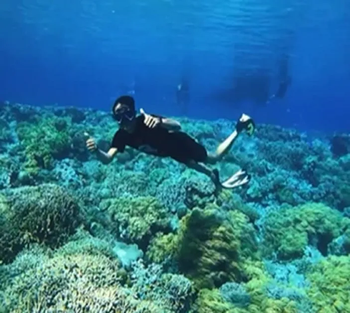 Wakatobi Surga Tropis Dengan Keanekaragaman Hayati Laut Terkaya Di