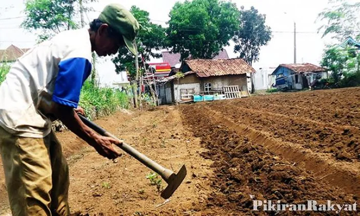 Di Cianjur Saat Ini Ratusan Ribu Hektare Lahan Kritis