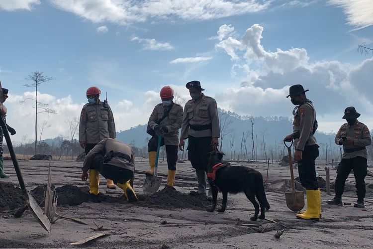 Korban Meninggal Erupsi Gunung Semeru Bertambah Tim Pencarian Temukan