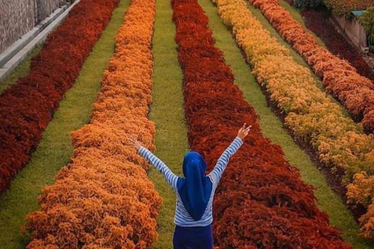 Rekomendasi Tempat Wisata Di Lembang Terbaru Cocok Untuk Healing Akhir