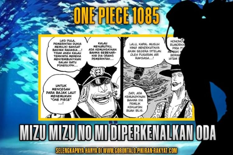 Oda Ungkap Pemilik Buah Iblis Logia Air Mizu Mizu No Mi Di One Piece